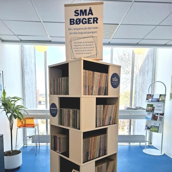 Reol med udstilling af små bøger