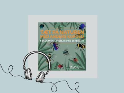 Cover til podcasten ‘Tæt på naturen med Anders Kofoed’ med små insekter på grøn baggrund.